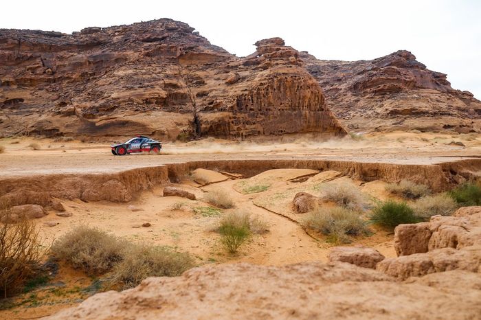 #207 Team Audi Sport Audi: Carlos Sainz Sr, Lucas Cruz