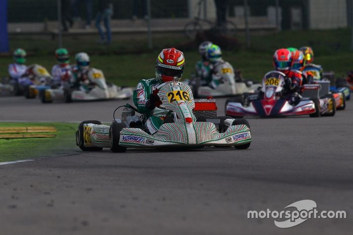 David Vidales, Tony Kart