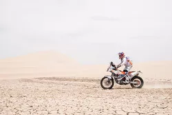 Ferran Jubany