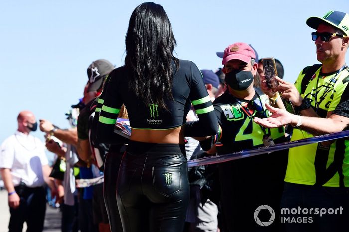 Chicas Monster Energy
