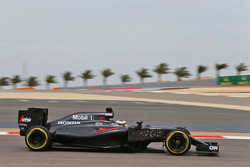 Stoffel Vandoorne, McLaren MP4-31