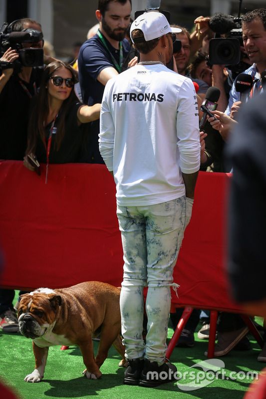 Lewis Hamilton, Mercedes AMG F1 con su perro Roscoe