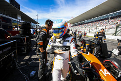 Fernando Alonso, McLaren
