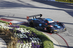 #10 Wayne Taylor Racing, Corvette DP: Ricky Taylor, Jordan Taylor