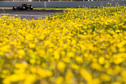 Jolyon Palmer, Renault Sport F1 Team RS17