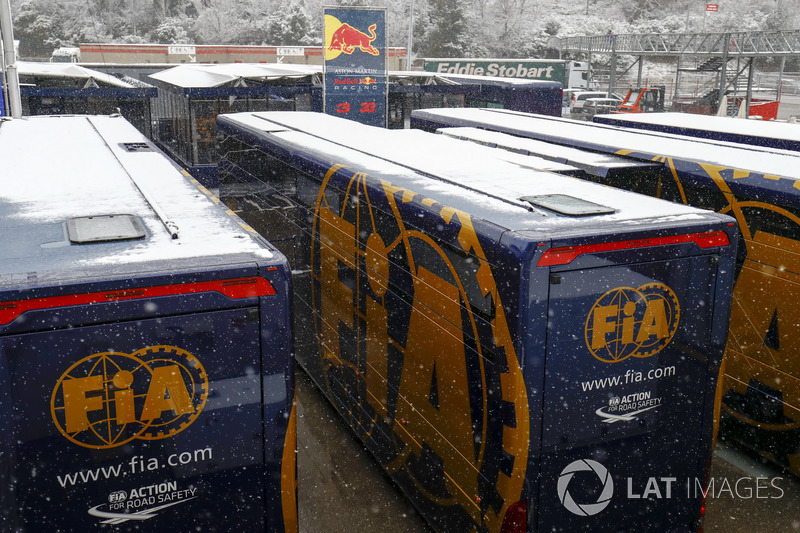 Snow falls over the paddock