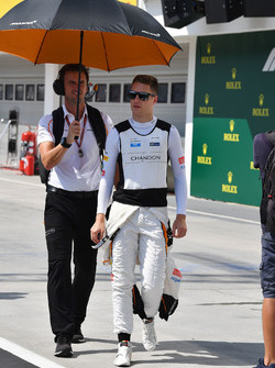 Стоффель Вандорн, McLaren