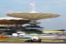 Fernando Alonso, McLaren MP4-31