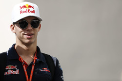 Pierre Gasly, Scuderia Toro Rosso