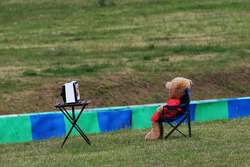 Ein Teddybär verfolgt das Training der Formel 1 im Fernsehen