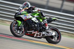 Sylvain Barrier, Team Pedercini