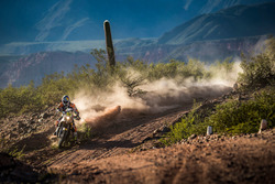 #16 Red Bull KTM Factory Racing: Маттіас Валкнер