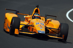 Fernando Alonso, Andretti Autosport Honda