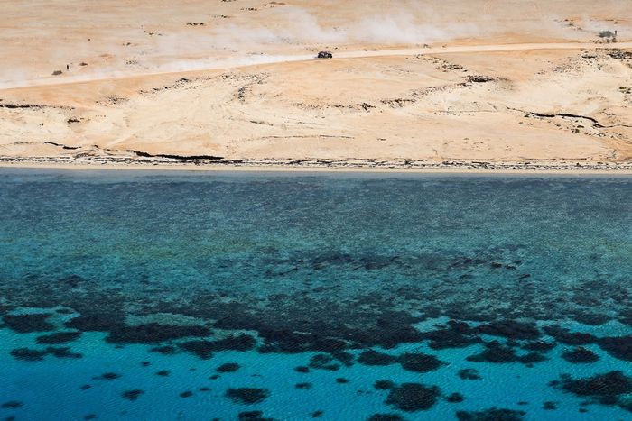 #299 The Dacia Sandriders Dacia: Nasser Al-Attiyah, Fabian Lurquin