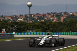 Antonio Giovinazzi, Sauber C37