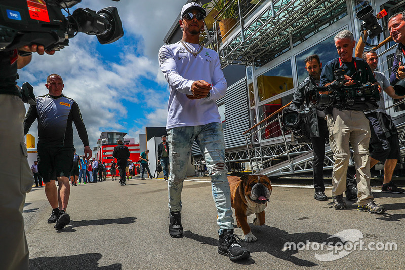 Lewis Hamilton, Mercedes AMG F1 y su perro Roscoe