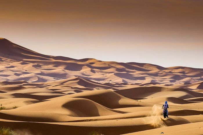 #01 Yamaha: Adrien Van Beveren