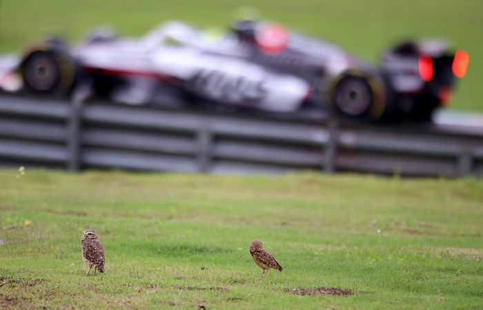 Oliver Bearman, Haas F1 Team
