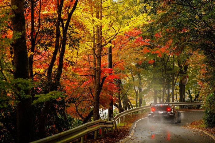 Себастьян Ожье, Венсан Ландэ, Toyota Gazoo Racing WRT Toyota GR Yaris Rally1