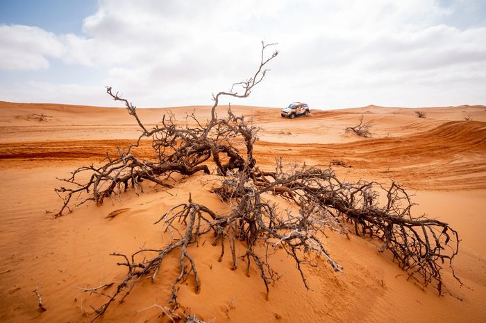 #238 X-Raid Mini John Cooper Works Rally Mini: Laia Sanz, Maurizio Gerini