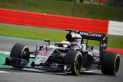 Stoffel Vandoorne, McLaren MP4-31, Test- und Reservefahrer