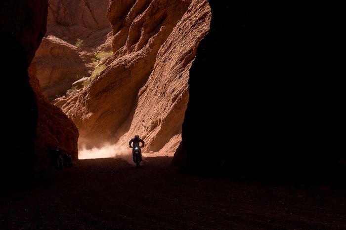 #50 Honda: Daniel Nosiglia