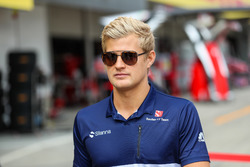 Marcus Ericsson, Sauber