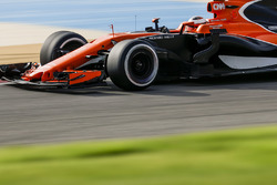 Стоффель Вандорн, McLaren MCL32