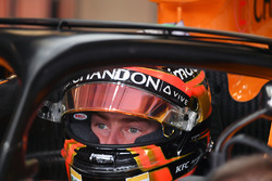 Stoffel Vandoorne, McLaren MCL33