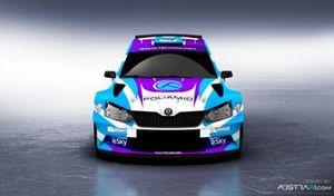 Sylwester Płachytka, Jacek Nowaczeski, Skoda Fabia R5