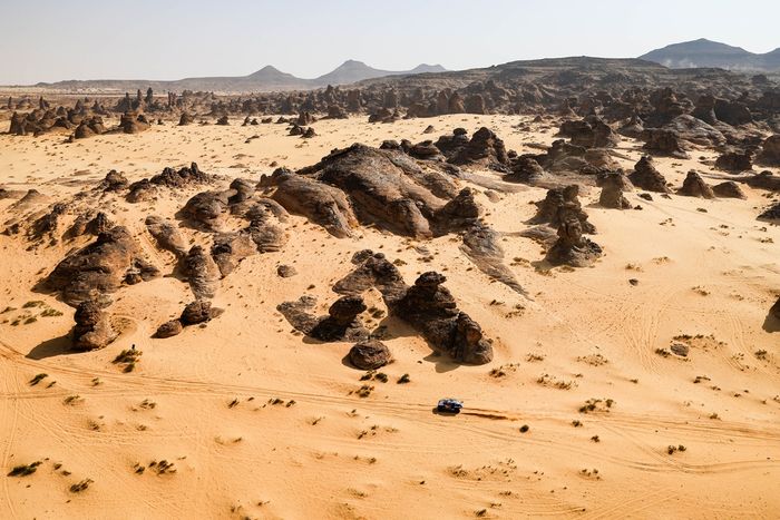 #227 フォード M-Sport フォード：ナニ・ローマ、アレックス・ハロ・ブラボ