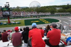 Carlos Sainz Jr., Scuderia Toro Rosso STR12
