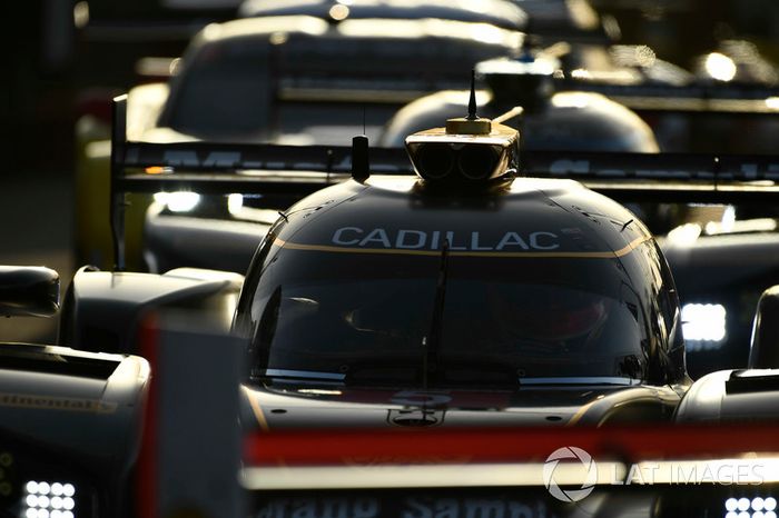 #5 Action Express Racing Cadillac DPi, P: Joao Barbosa, Filipe Albuquerque