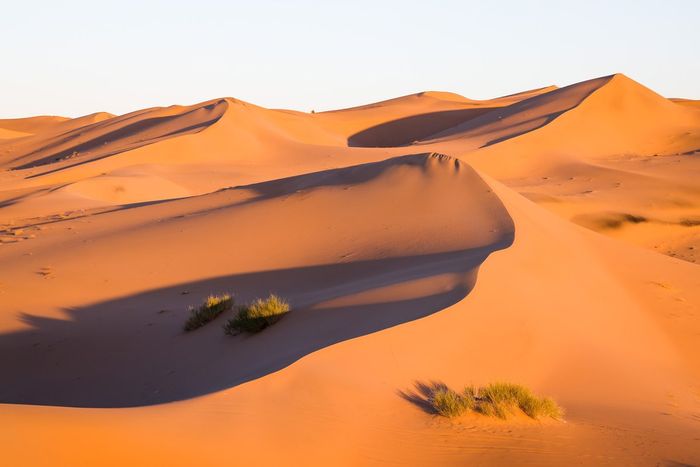 El paisaje del Dakar con las dunas