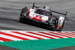 Mark Webber, Porsche 919