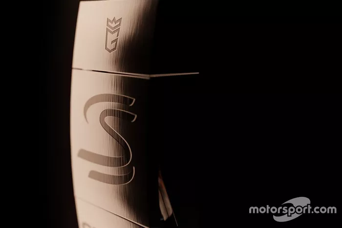 Brazaletes de neumáticos Senna