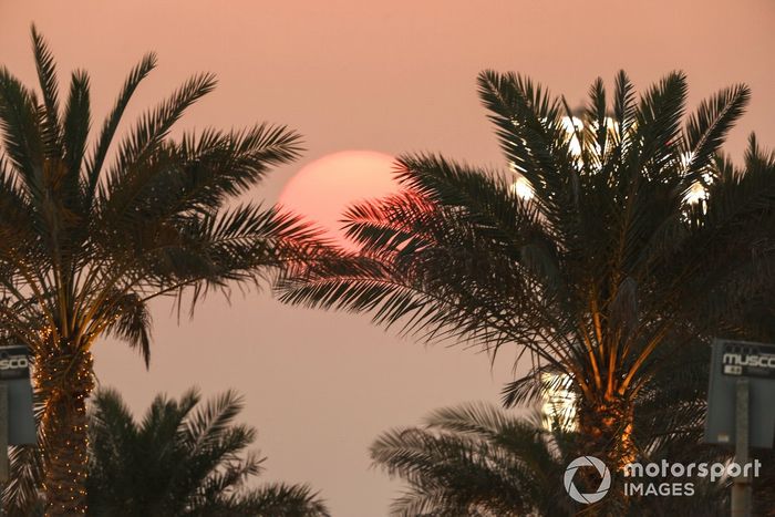 Puesta de sol y palmeras