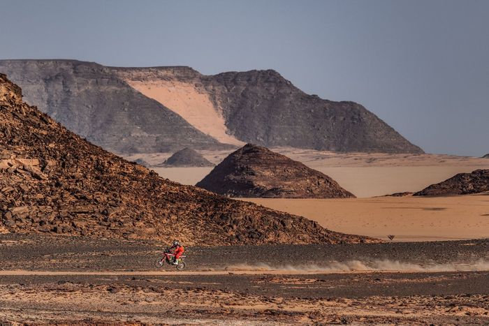 #2 Monster Energy Honda Team 2022: Ricky Brabec 