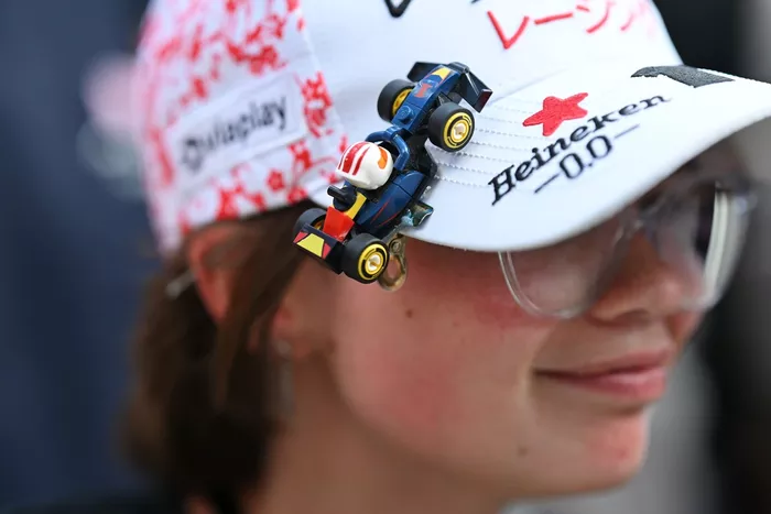 Max Verstappen, Red Bull Racing