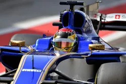 Pascal Wehrlein, Sauber C36