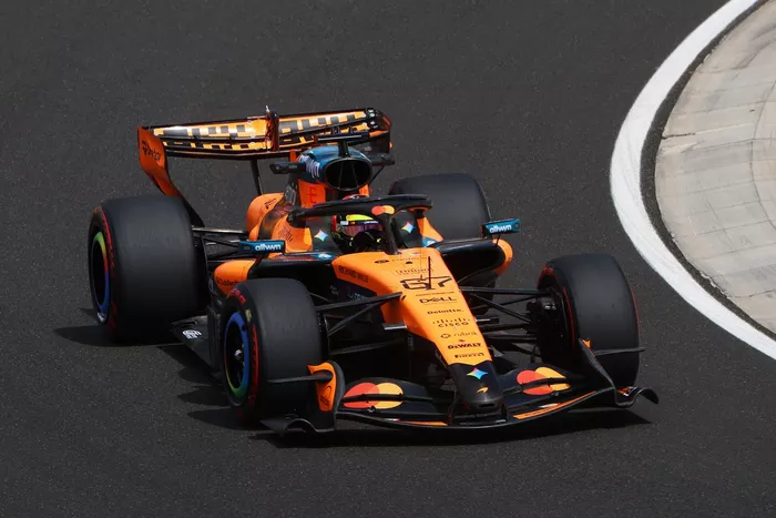 Leonardo Fornaroli, McLaren