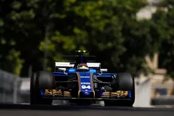 Pascal Wehrlein, Sauber C36