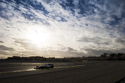 Felipe Massa, Williams FW40