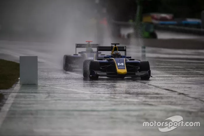 Dan Ticktum, DAMS