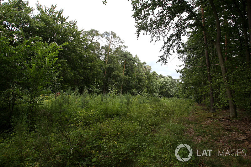 El trazado del viejo Hockenheim comido por las plantas