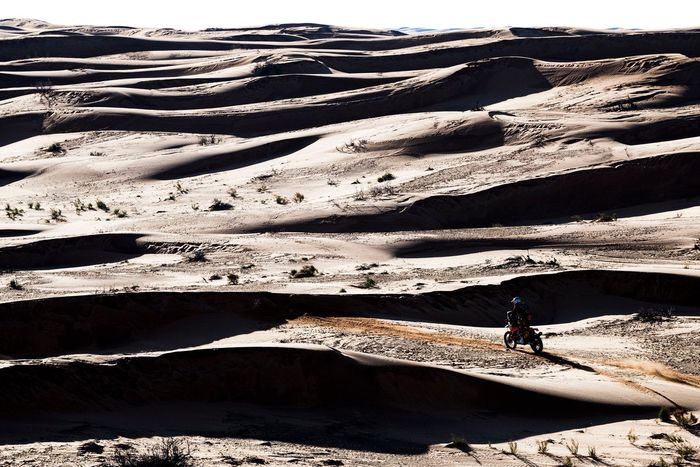 #8 Red Bull KTM Factory Racing: Toby Price