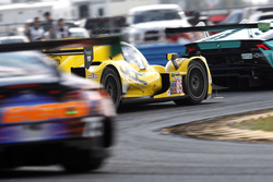 #85 JDC/Miller Motorsports ORECA 07: Misha Goikhberg, Chris Miller, Stephen Simpson, Mathias Beche