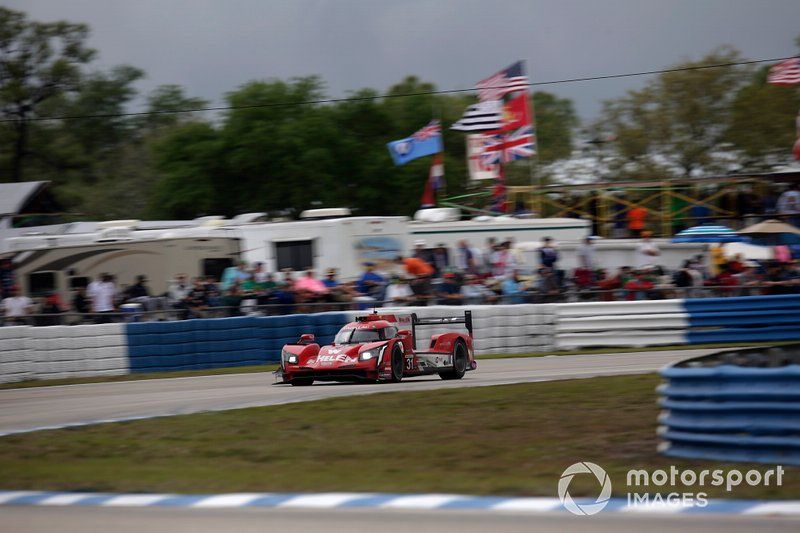 #31 Action Express Racing Cadillac DPi: Felipe Nasr, Eric Curran, Pipo Derani