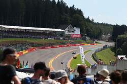 Фернандо Алонсо, McLaren MP4-31