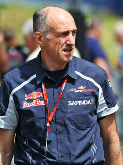 Франц Тост, Керівник команди Scuderia Toro Rosso Team